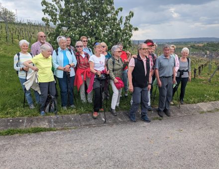 Maiwanderung am Sonntag, den 04.05.2025