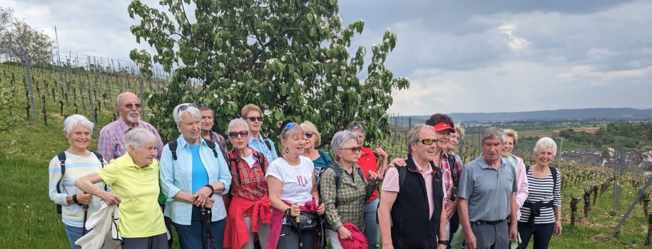 Maiwanderung am Sonntag, den 04.05.2025