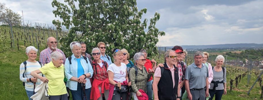 Maiwanderung am 07.05.2023