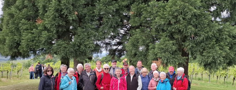 Maiwanderung 2025